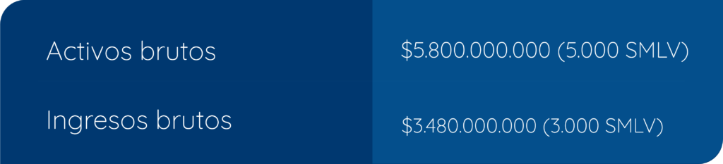Activos brutos	
$5.800.000.000 (5.000 SMLV)
Ingresos brutos	
$3.480.000.000 (3.000 SMLV)

regulación contable para el 2024

