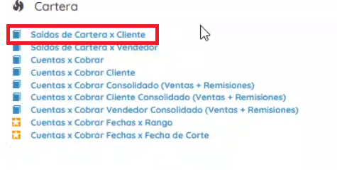 Sección cartera, cartera por cliente 