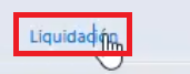 Pestaña de liquidación