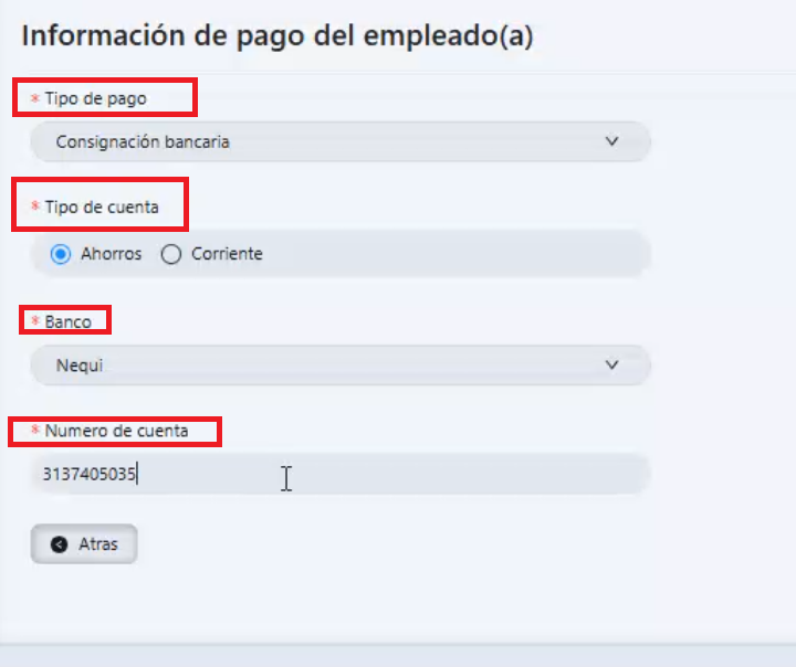 Campos a diligenciar información de pago 